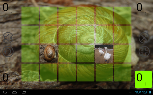 Photo memory game for kids Screenshots 10