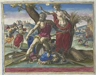 Cholerisch temperament