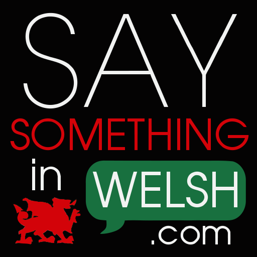 Say Something in Welsh LOGO-APP點子