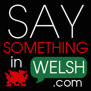 Say Something in Welsh 1.0.14