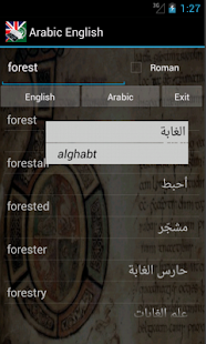 Arabic English Dictionary Screenshots 3
