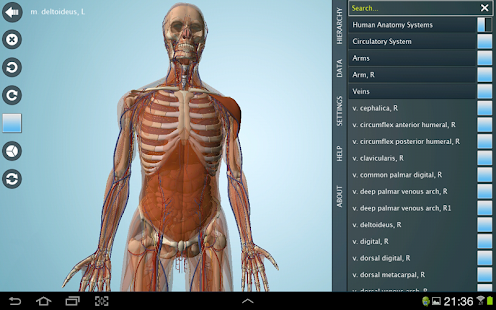 Anatomy 3D - Anatronica - Android Apps on Google Play