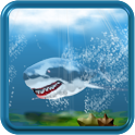Shark Attack HD FREE icon
