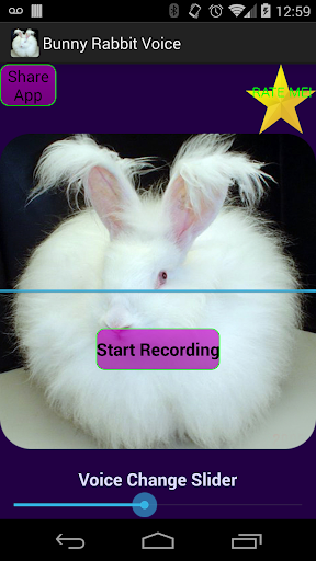 Talking Rabbit Voice Changer