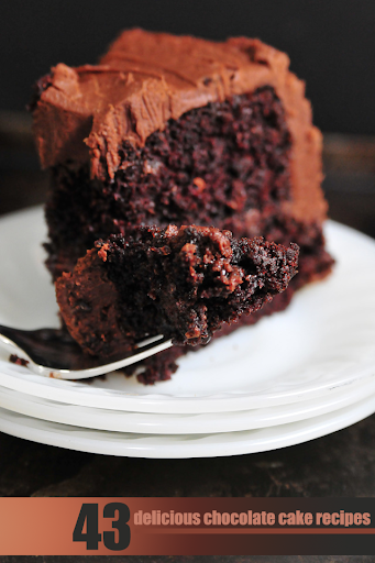 Chocolate cake recipes