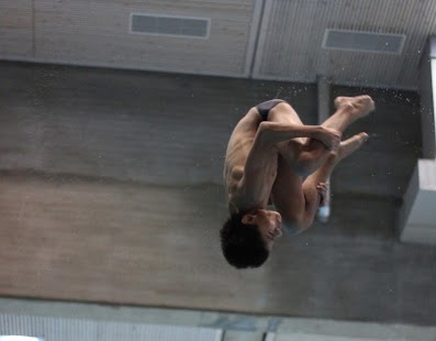 How to install Springboard Diving Lessons 1.10 mod apk for laptop