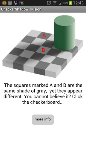 CheckerShadow illusion