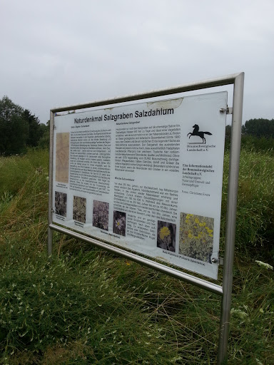 Salzgraben Naturdenkmal 