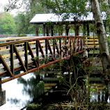 Bridge in the Park in Florida by Kathy Rose Willis -  