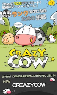 CRAZY COW