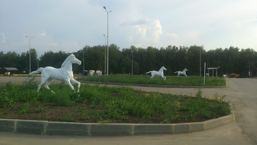 Три Белых Коня.