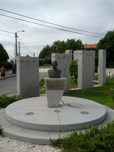 Monumento Dr Carlos Ferreira Duarte 