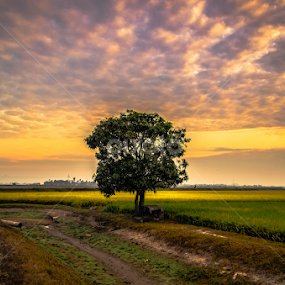 by Mohamad Subri Mohd Noor - Landscapes Prairies, Meadows & Fields