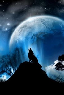 Wolf HD Wallpapers FREE Screenshots 16