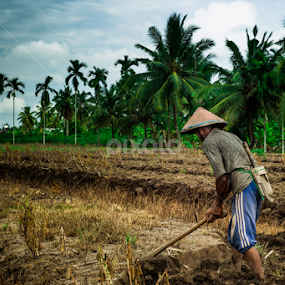 Mencangkul by Pandu Hari Santoso - People Professional People