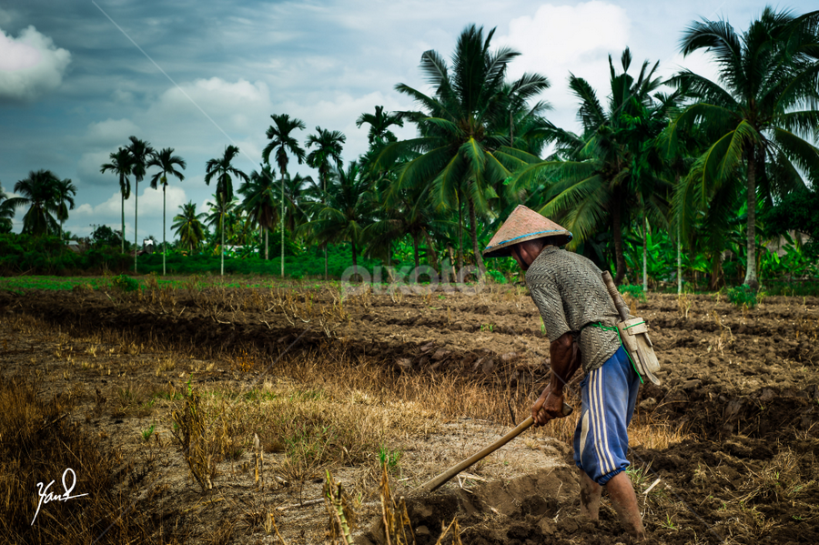 Mencangkul by Pandu Hari Santoso - People Professional People