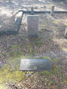 Frederick N Fuller Grave