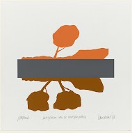 Het geheim van de weerspiegeling