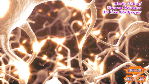 免費下載個人化APP|Brain Cell of Human Neurons 3D app開箱文|APP開箱王