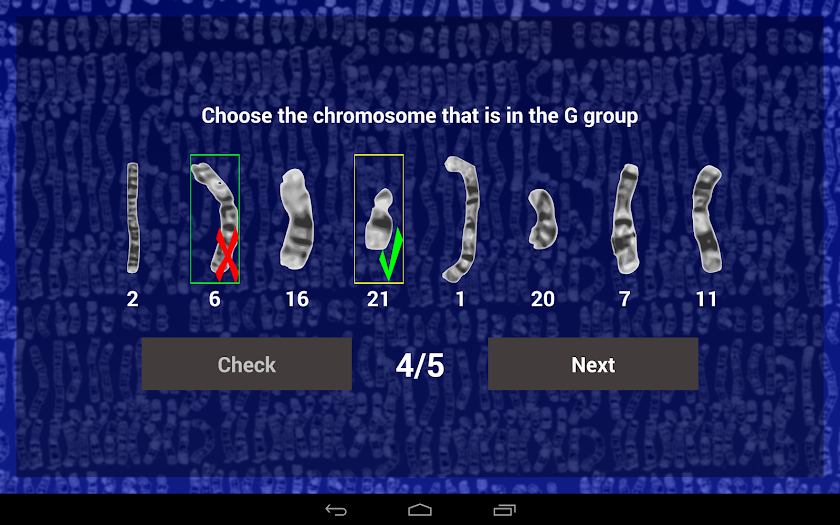 Chromosome Quiz Screen 3