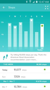   Fitbit- screenshot thumbnail   