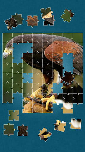 【免費解謎App】Birds Jigsaw Puzzle-APP點子