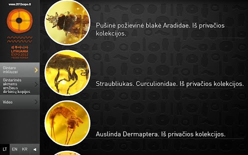 Lastest Lithuanian Ambers HD APK