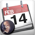 Pregnancy calendar