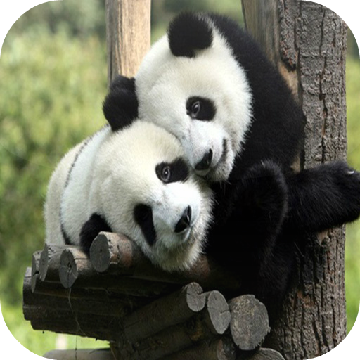 簡單的動物拼圖 解謎 App LOGO-APP開箱王