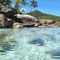 Tropical Stream Live Wallpaper