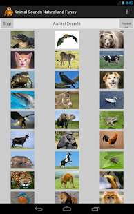 download Funny Animal Sounds free