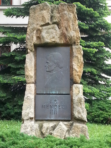 Memorial Of J. G. Mendel