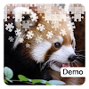 Red Panda Jigsaw Puzzles Demo