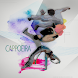 cAPPoeira: The Capoeira App