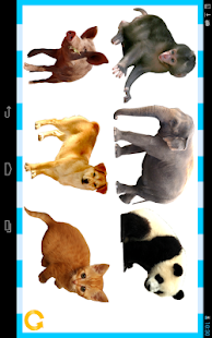 Peekaboo TTTouch！ (animal) Screenshots 10