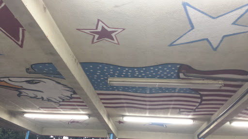 USA Mural