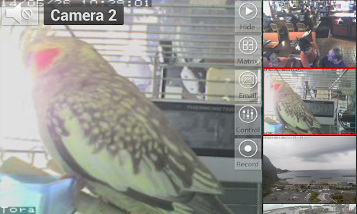 Viewer for ICam IP cameras