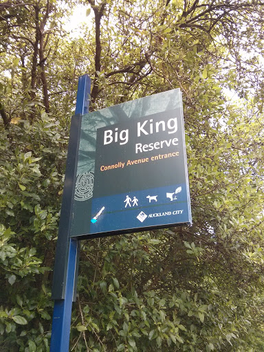 Big King Reserve - Connolly Entrance