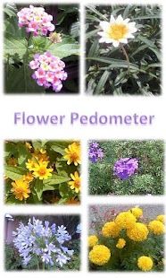 How to install Flower Pedometer patch 5.5 apk for android