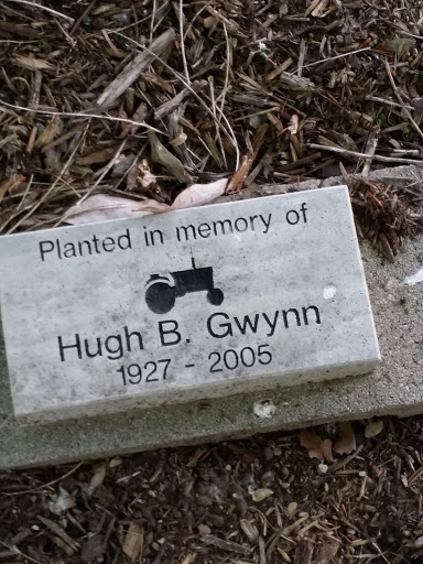Hugh B Gwynn Memorial