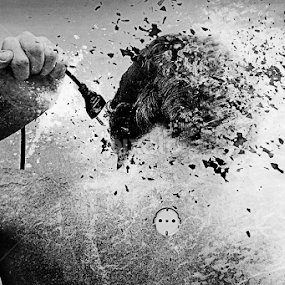 ELECTRO by Zoe Photography - Digital Art People