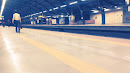 Jhandewalan Metro Station -  The Blue Line 