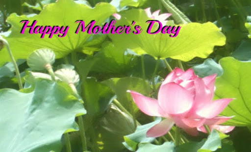 Download Mother's Day Card APK for PC