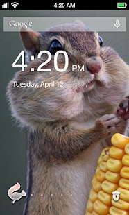 Stubborn Squirrel Lock Screen