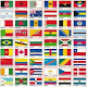 Flags Quiz APK