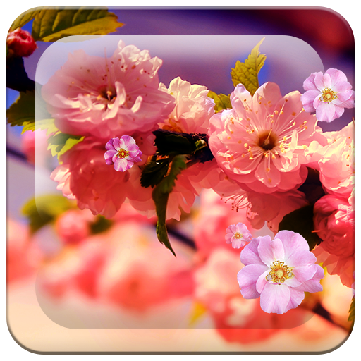 Spring Flowers HD LWP 個人化 App LOGO-APP開箱王