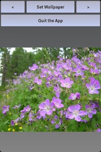 Lastest SummerPaper HD APK for PC