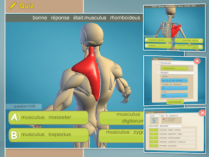 Easy Anatomy 3D(learn anatomy) - screenshot thumbnail