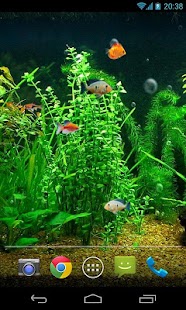 How to download Fish Tank HD Live Wallpaper 1.6 apk for bluestacks