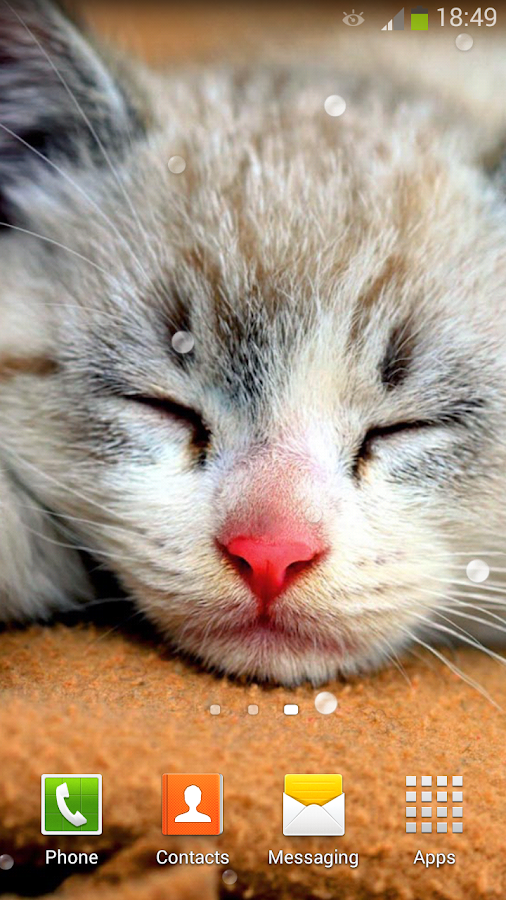  Cute  Cats  Live  Wallpaper  Android Apps on Google Play